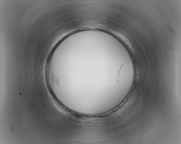 X0000113861039200909241021