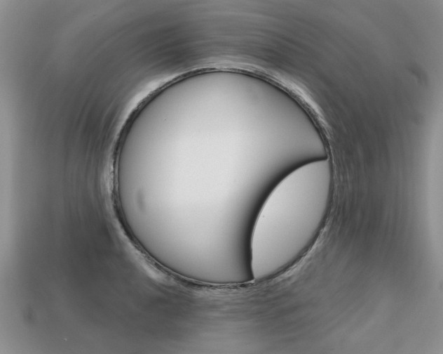 X0000113861040200909241021