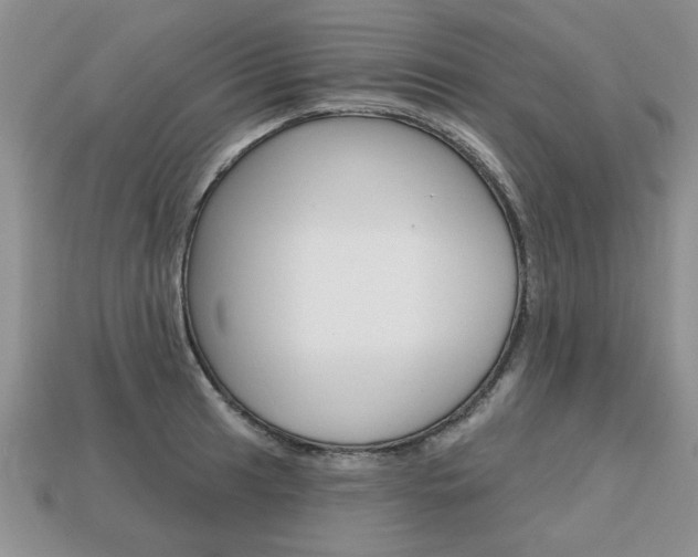 X0000113861041200909241021