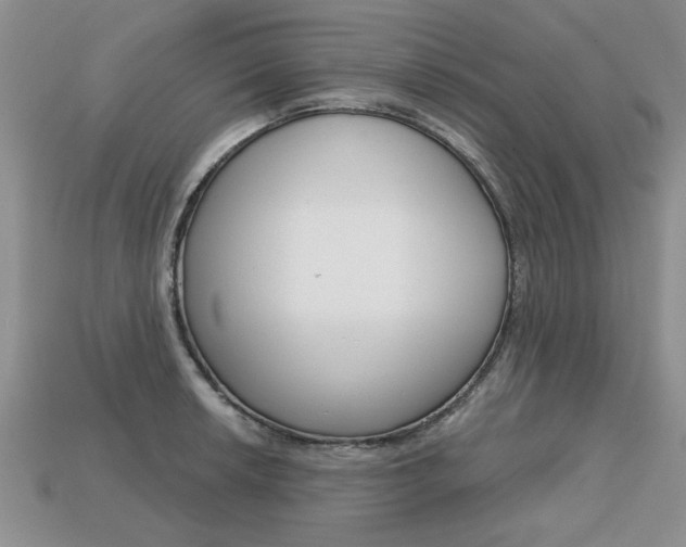 X0000113861042200909241021