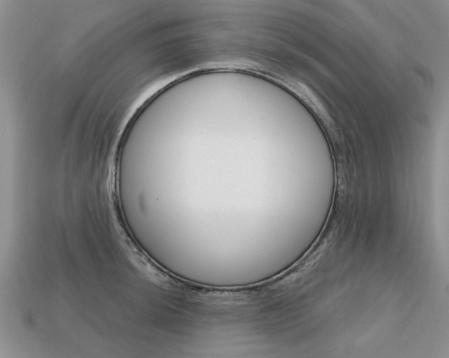 X0000113861044200909241021