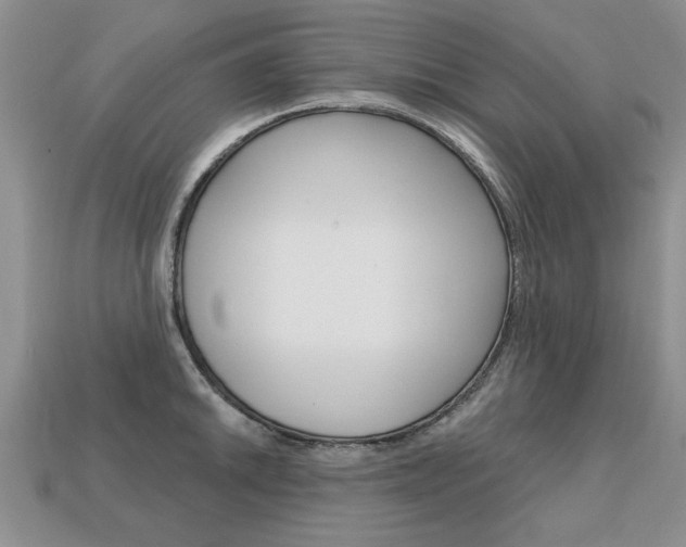 X0000113861046200909241021
