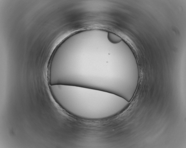 X0000113861047200909241021