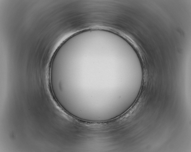 X0000113861048200909241021