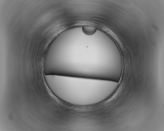 X0000113861049200909241021