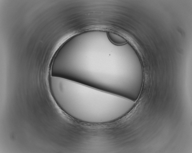 X0000113861050200909241021