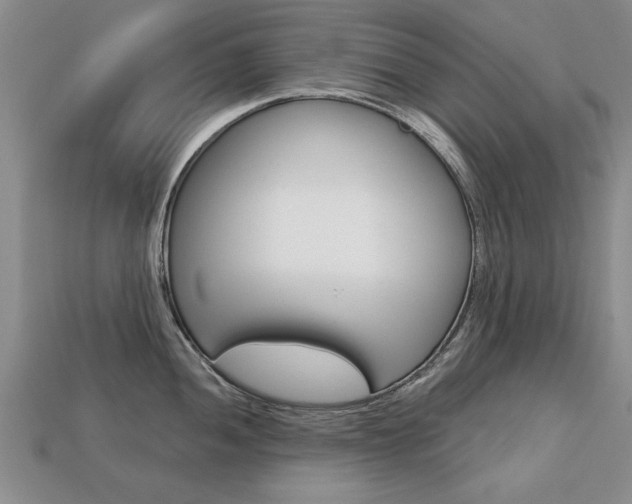 X0000113861052200909241021