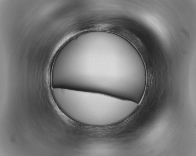 X0000113861054200909241021