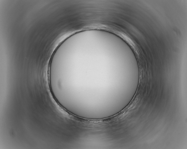 X0000113861055200909241021