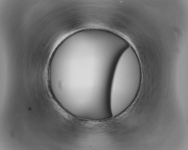 X0000113861056200909241021