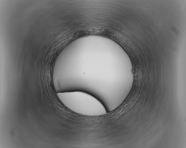 X0000113861058200909241021