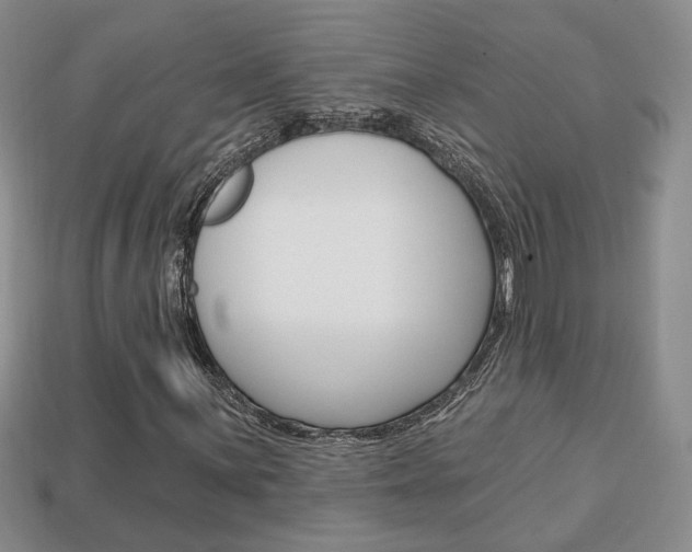 X0000113861059200909241021