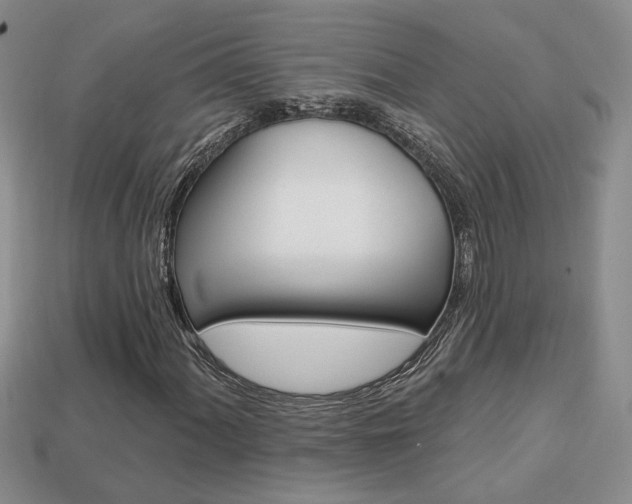 X0000113861060200909241021