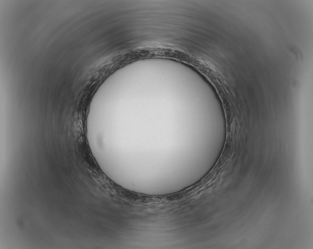 X0000113861062200909241021