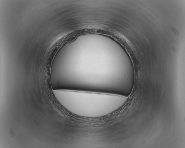 X0000113861064200909241021