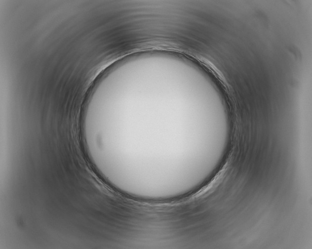 X0000113861065200909241021