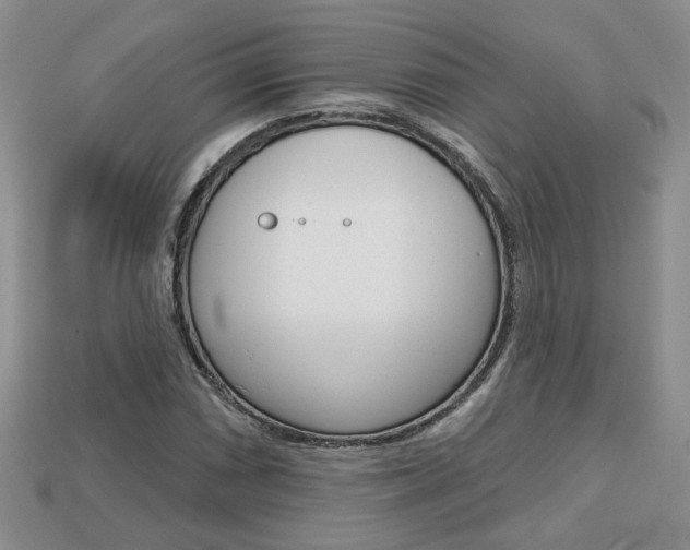 X0000113861066200909241021