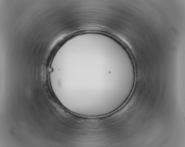 X0000113861067200909241021