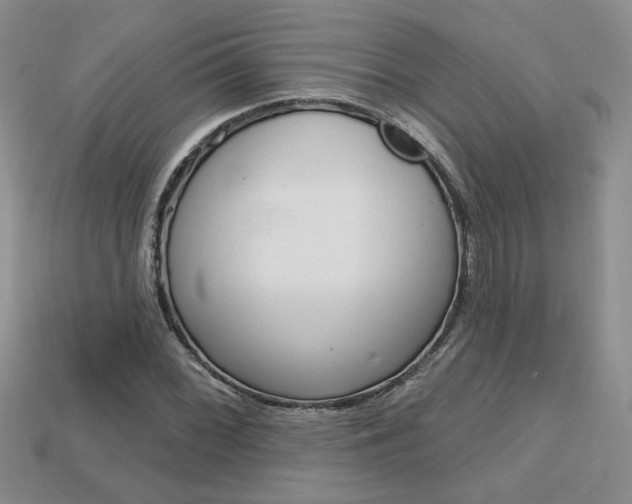 X0000113861068200909241021