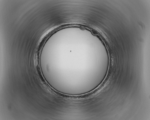 X0000113861069200909241021