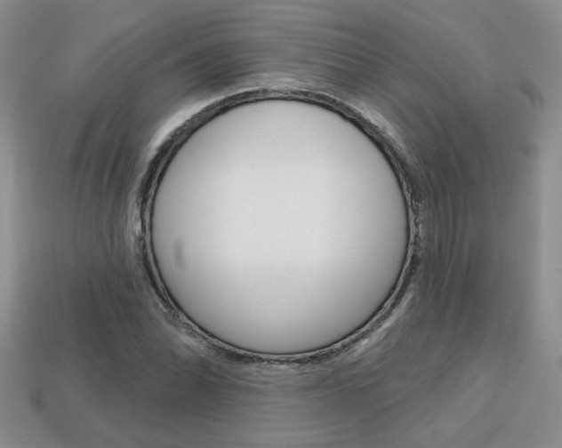 X0000113861070200909241021
