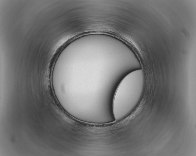 X0000113861071200909241021