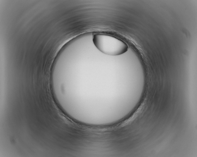 X0000113861073200909241021
