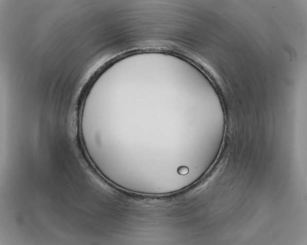 X0000113861075200909241021
