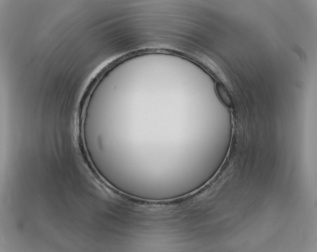 X0000113861076200909241021