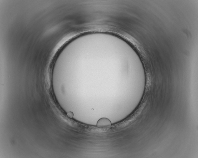 X0000113861078200909241021