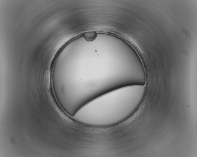 X0000113861079200909241021