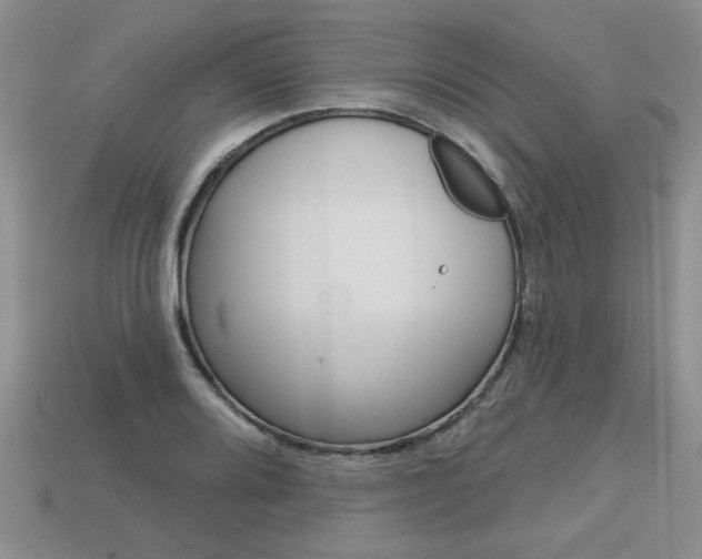X0000113861080200909241021