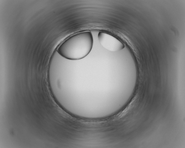 X0000113861081200909241021
