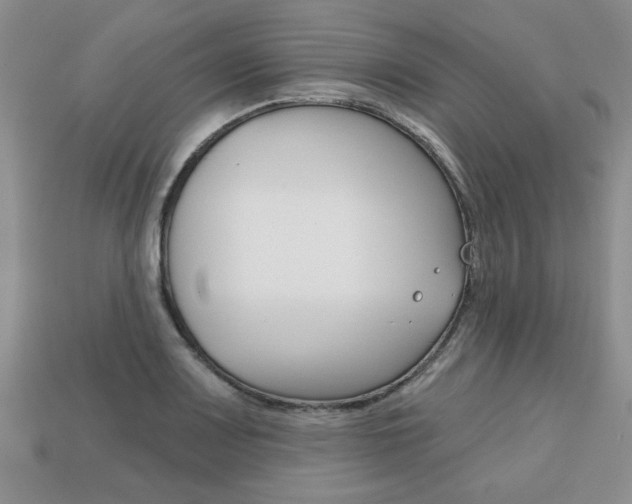 X0000113861083200909241021