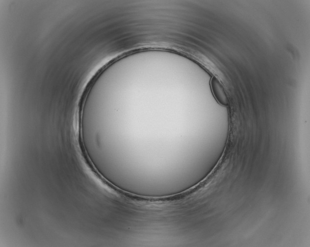 X0000113861084200909241021