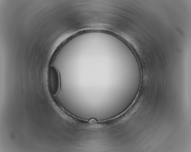 X0000113861085200909241020