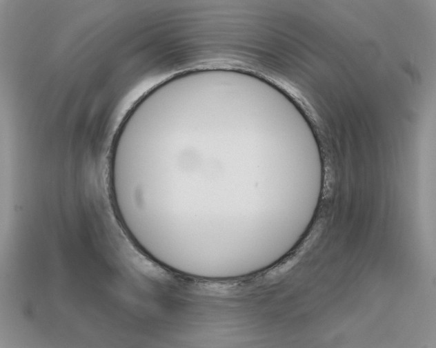 X0000113861086200909241020