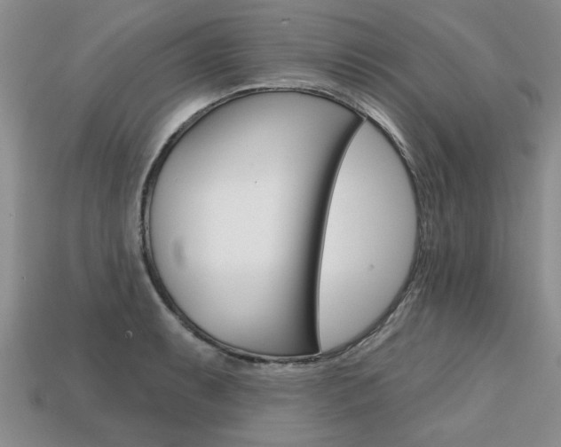 X0000113861087200909241020