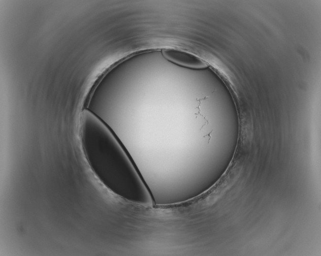 X0000113861088200909241020