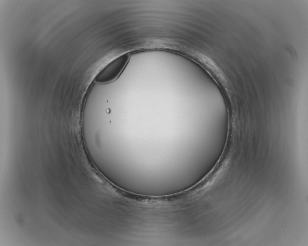 X0000113861089200909241020
