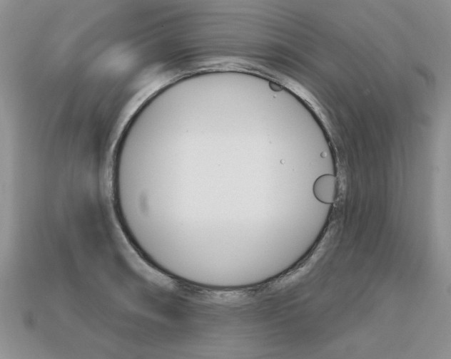 X0000113861090200909241020