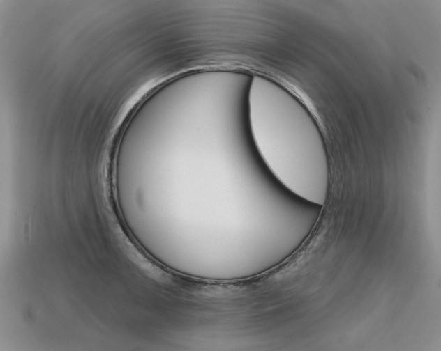 X0000113861091200909241020