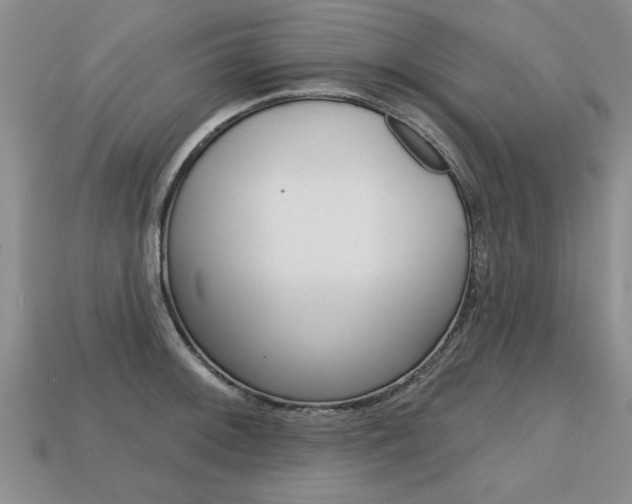 X0000113861092200909241020