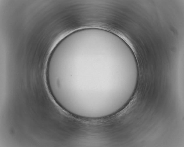X0000113861093200909241020