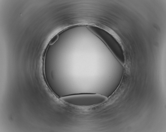 X0000113861096200909241020