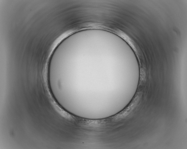 X0000113861098200909241020