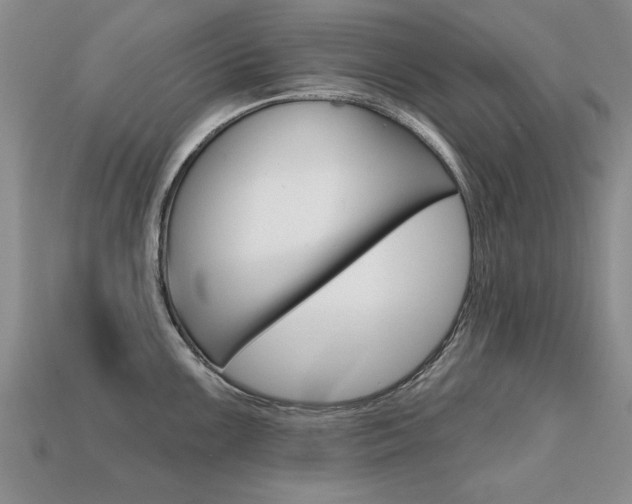 X0000113861099200909241020