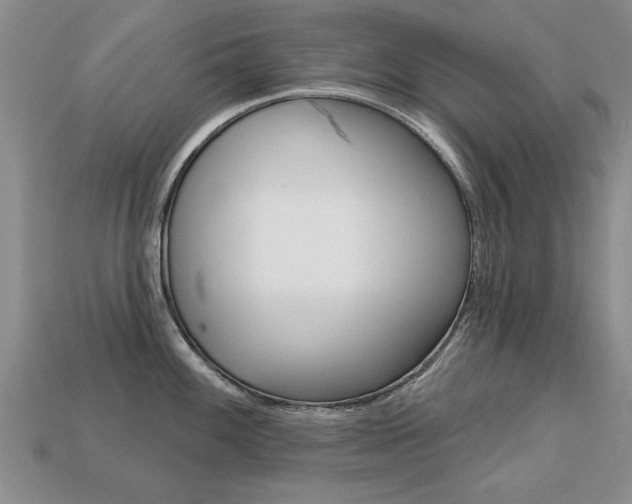 X0000113861100200909241020
