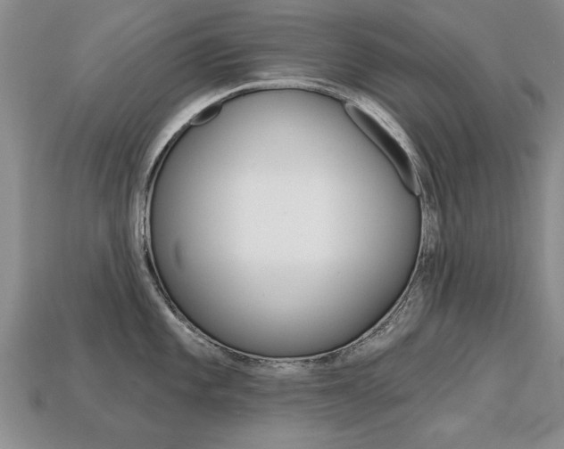 X0000113861101200909241020