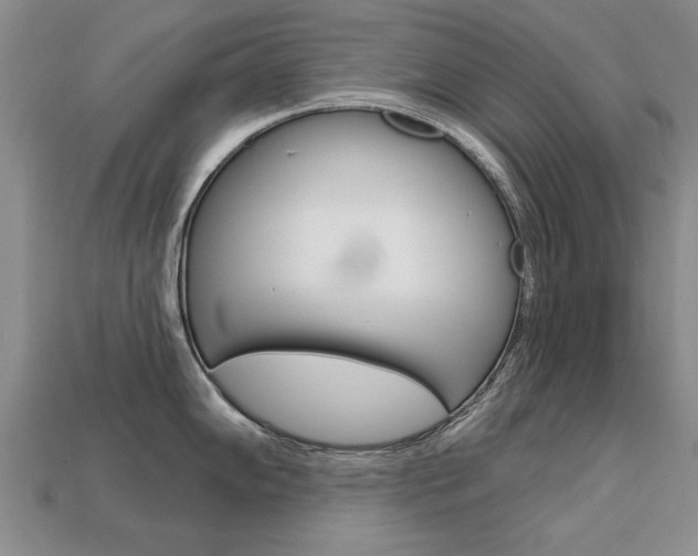 X0000113861102200909241020